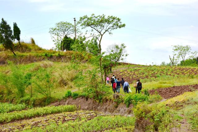 清明节可以过生日吗老人，清明节可以过生日吗老人怎么过