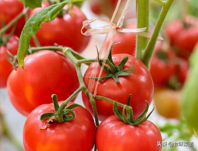 北方二三月份种什么菜，适合二三月种的菜