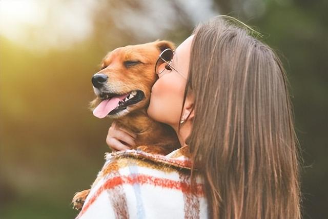 女人梦见狗追着咬自己很害怕，女人梦见狗咬腿发财