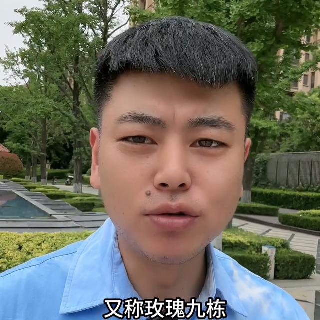 西安曲江最好的十大小区南湖意境怎么样,西安曲江南湖附近小区