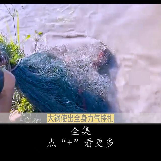 抖音无水印解析在线网站,抖音无水印解析在线使用